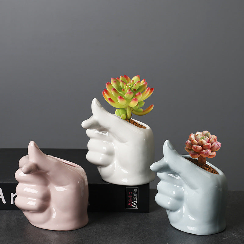 Indoor Desktop Cartoon Plant Basin