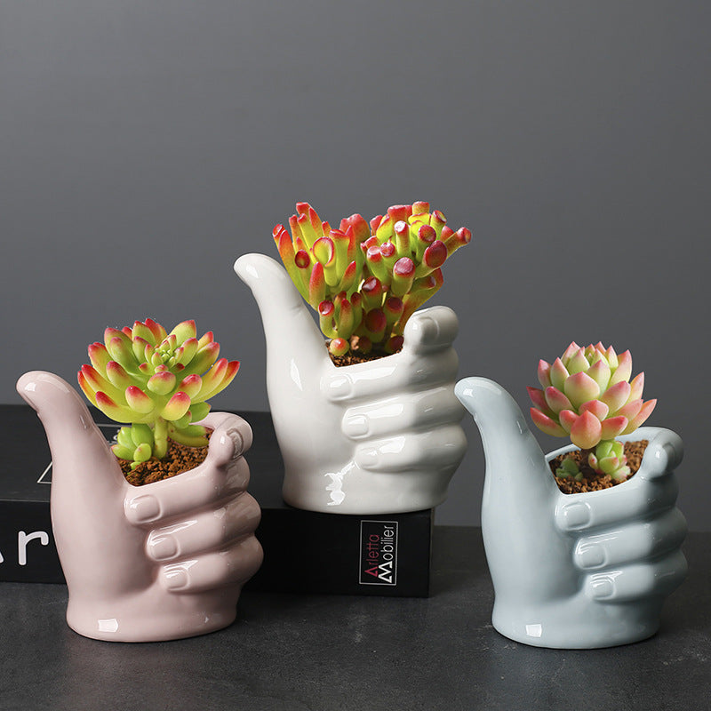 Indoor Desktop Cartoon Plant Basin