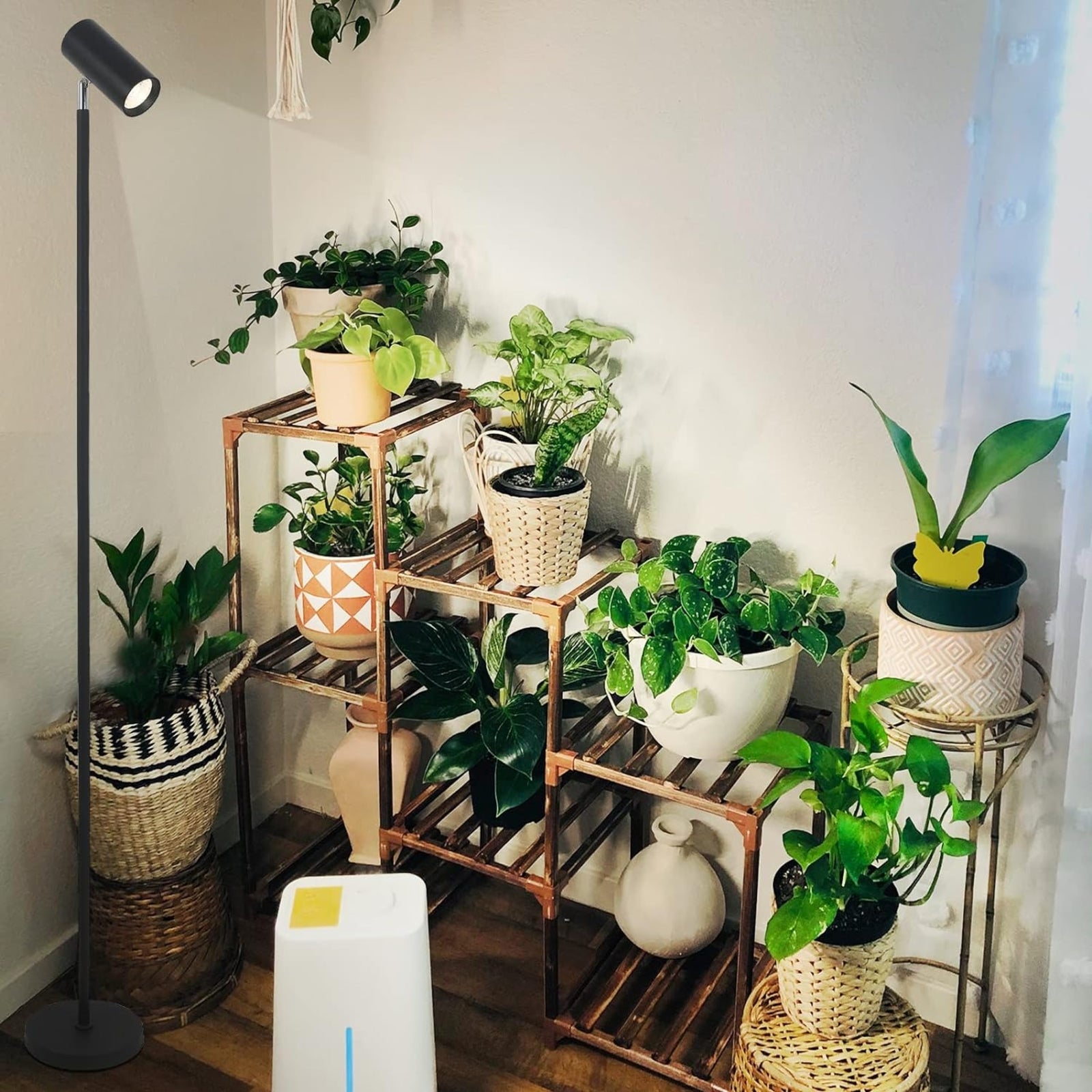 Grow Lights Stand For Indoor Plants Full Spectrum Tall Plant Light For Indoor Growing With 20W COB P