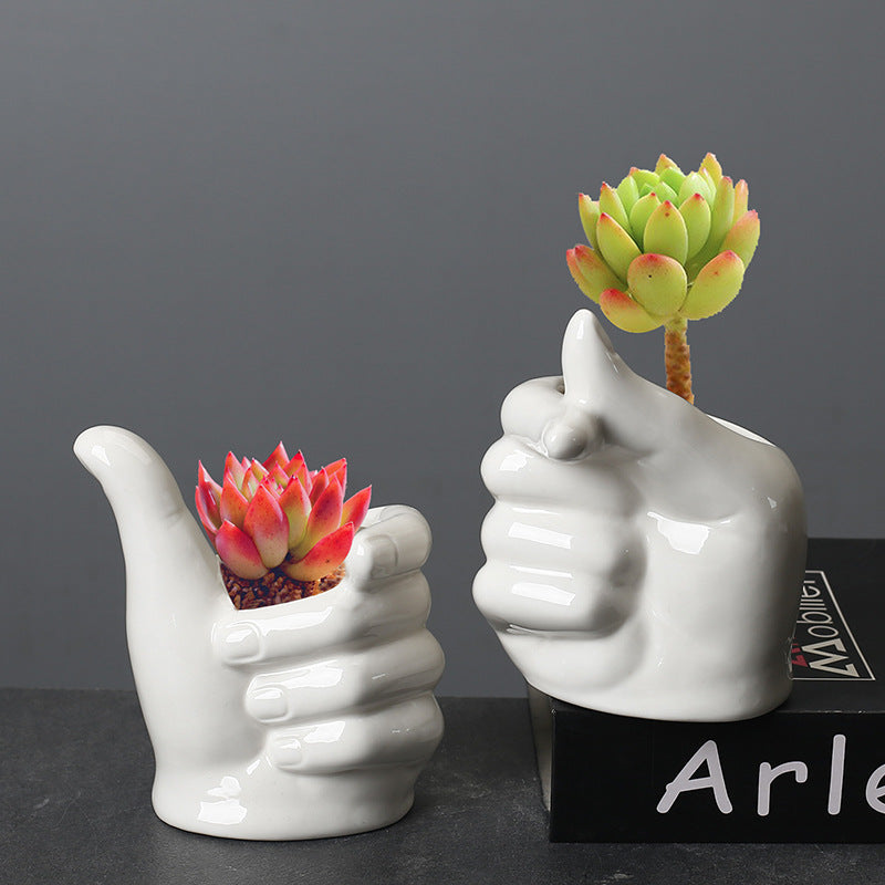 Indoor Desktop Cartoon Plant Basin