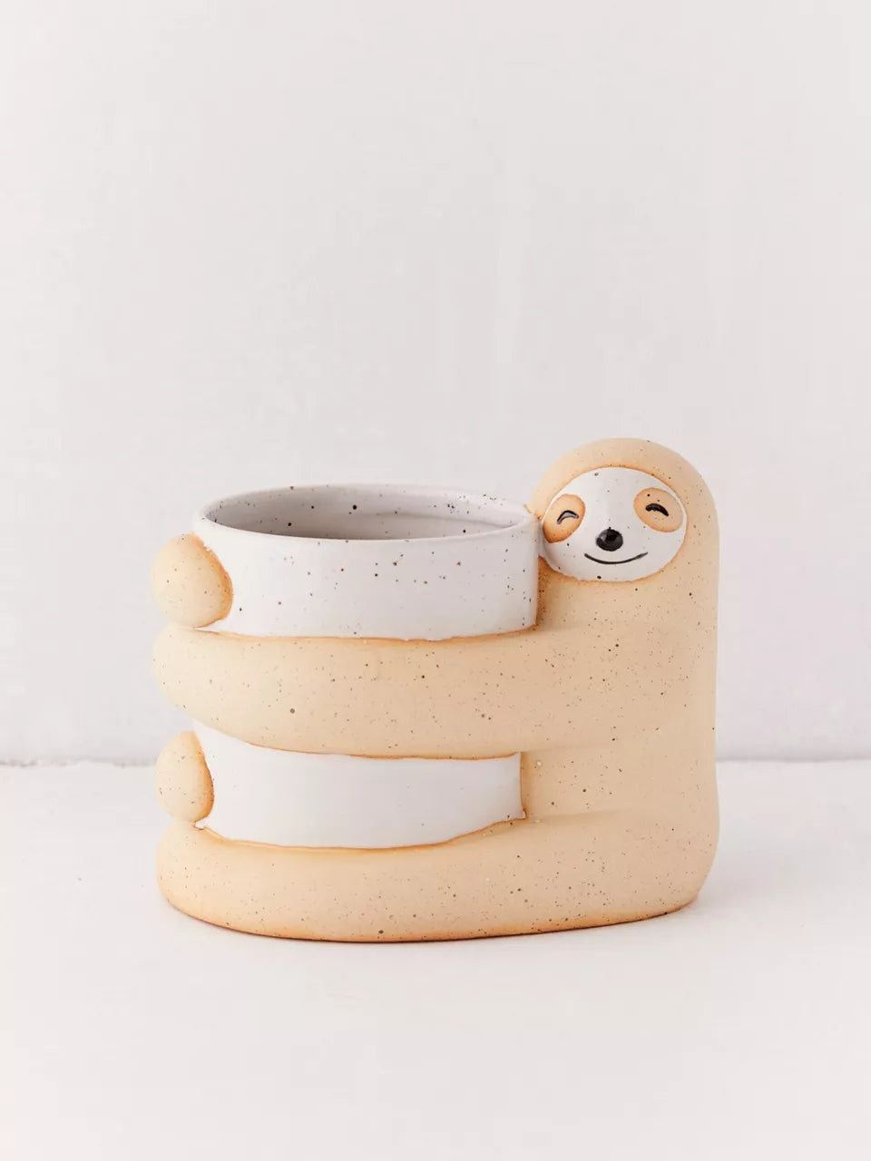 Cute, Creative And  Green Plant Potted Plants