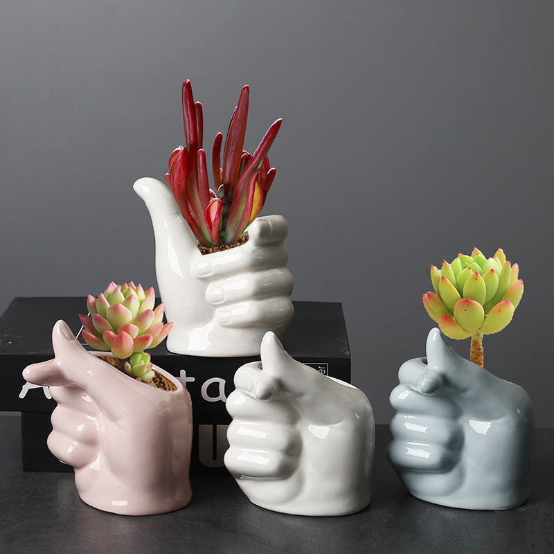 Indoor Desktop Cartoon Plant Basin